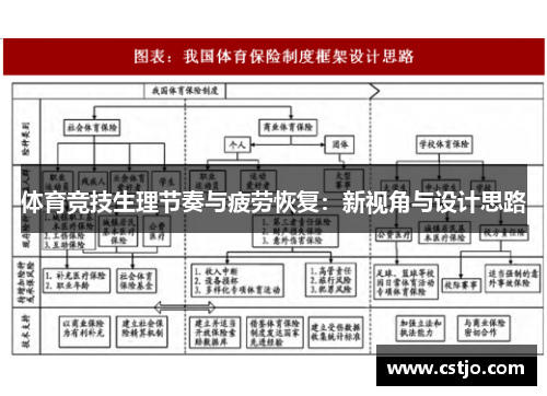 体育竞技生理节奏与疲劳恢复：新视角与设计思路